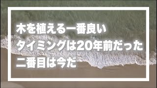 【26の名言】木を植える一番いいタイミングは20年前だった　二番目は今だ