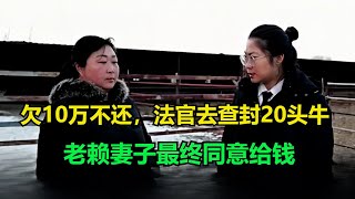 大结局！欠10万不还，法官去查封20头牛，老赖妻子最终同意给钱！#执行现场 #纪录片