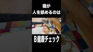 52秒22で猫雑学クイズ #猫 #猫動画 #雑学 #クイズ