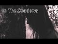 In The Shadows - Country & Folk Music (Instrumental) 1 Hour LOOP for Concentration, Relaxation, BGM