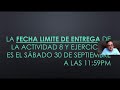 actividad y ejercicios resiliencia