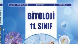 AYT biyoloji MEB kitap taraması, iskelet kas sistemi