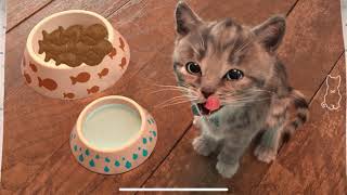Little Kitten Adventure Educational Games. Play Fun Cute Kitten Pet Care Learning Gameplay