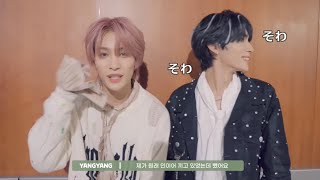 ベビドンが待ちきれないシャオジュン【WayV｜NCT】