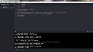 Connecting and Inserting Data to SQLite via Python