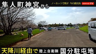 桜満開　鹿児島県　霧島市　隼人町　ソニーセミコンダクタ　天降川　陸上自衛隊　 国分駐屯地　隼人町住吉　GoProで撮影　おまかせテレビ2023年3月27日