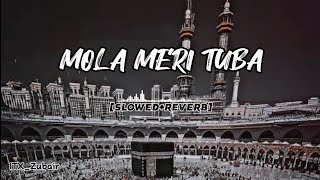 Moula Meri Touba - (Slowed + Reverb) - Sahir Ali Bagga - Makafat Season 2 Ost | Its.Faizee_92