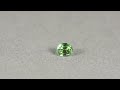 パキスタン産グリーントルマリン 0.63ct bd 2742