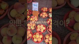 하루가 다르게 가격이..  Price down again!!! #localmarket #재래시장 #streetfood #korea