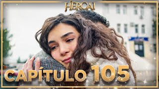 Hercai - Capítulo 105