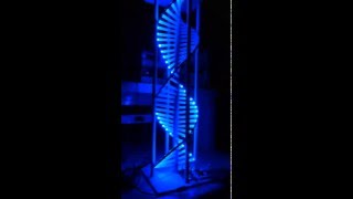 SPU20: DNA Model