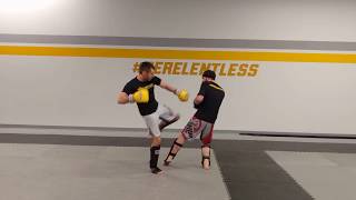 Inside Leg Kick Counter