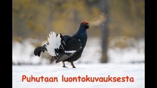 Puhutaan luontokuvauksesta 2