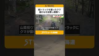 軽トラックを襲ったクマ　箱わなを設置し捕獲へ　「人身事故につながる危険」　北海道根室市 #shorts