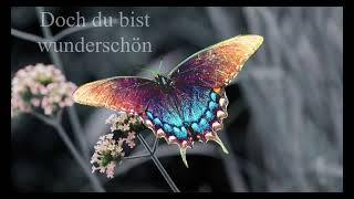SOPHIA - Schmetterling (Lyrics) [4K] | T-M Musik