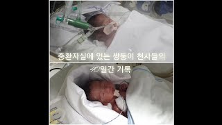 8개월만에 출산한 이른둥이 미숙아 쌍둥이의 신생아 중환자실 40일간 입원기록 [ 브이로그 / 혼혈 / 국제부부 / 국제커플 ]