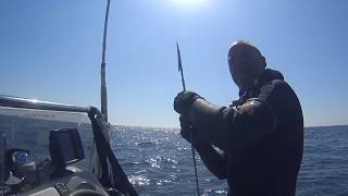 THE BIG GILTHEAD SEA BREAM. GIGANTESCA ORATA CATTURATA CON MARES CYRANO EVO HF BY ROBERTO TIVERON