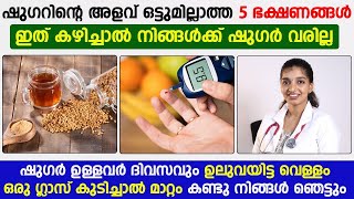 ഷുഗറിന്റെ അളവ് ഒട്ടുമില്ലാത്ത ഈ 5 ഭക്ഷണങ്ങൾ കഴിച്ചാൽ നിങ്ങൾക്ക് ഷുഗർ വരില്ല | Dr Ashna K K