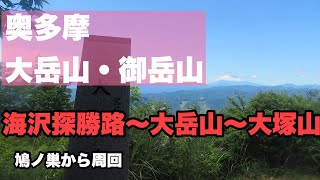 登山　奥多摩　海沢探勝路から大岳山、御岳山、大塚山　暑くても涼しい登山道を歩く