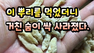 50세 이후 숨가쁨 폐와 기관지를 윤택하게 만들어 천수를 누리게하는 약초!!