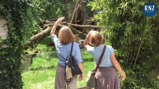 Die RNZ-Sommertour durch den Heidelberger Zoo