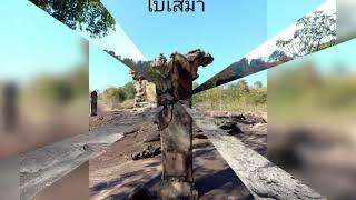 EP 102. ความรุ่งเรืองของพระพุทธศาสนา อุทยานประวัติศาสตร์ภูพระบาท อำเภอบ้านผือ จังหวัดอุดรธานี