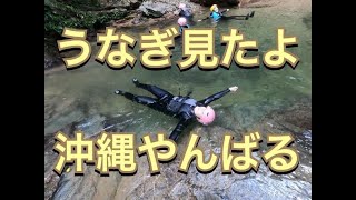 【ウナギ見たよ！沖縄のやんばる！GoPro HERO9 BLACK】のんびりゆっくり沖縄自然体験エコツアー！お子様連れのご家族や体力に自信のない方、のんびりゆっくり沖縄の自然が満喫できるツアーをご用意