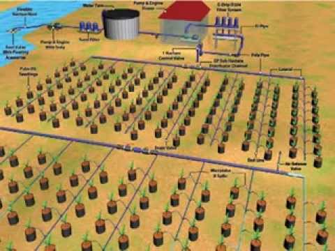 Drip Irrigation Animation Youtube