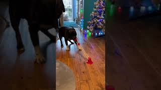 Meelo s Christmas Gift Malfunction || ||   #shorts  #ViralVidds  ||