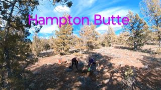 Rockhounding Camping Adventure 🏕️ Agates, Jasper, Petrified Wood 💎 Hampton Butte - Explore Old Ranch