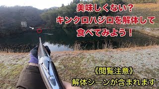 美味しくない？ キンクロハジロを解体して食べてみよう！