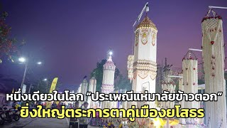 หนึ่งเดียวในโลก “ประเพณีแห่มาลัยข้าวตอก” ยิ่งใหญ่ตระการตาคู่เมืองยโสธร