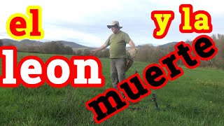 DETECCIÓN DE METALES EN GALICIA