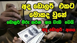 හෙට  ඩොලර්  වලට  මොකද වෙයිද  අද ඩොලර් ගනන් බලන්න today dollar rate #dollar