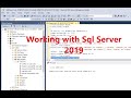 Executing Basic Db Queries(Insert,Update,Select and Delete ) || Working with sql server 2019 ||