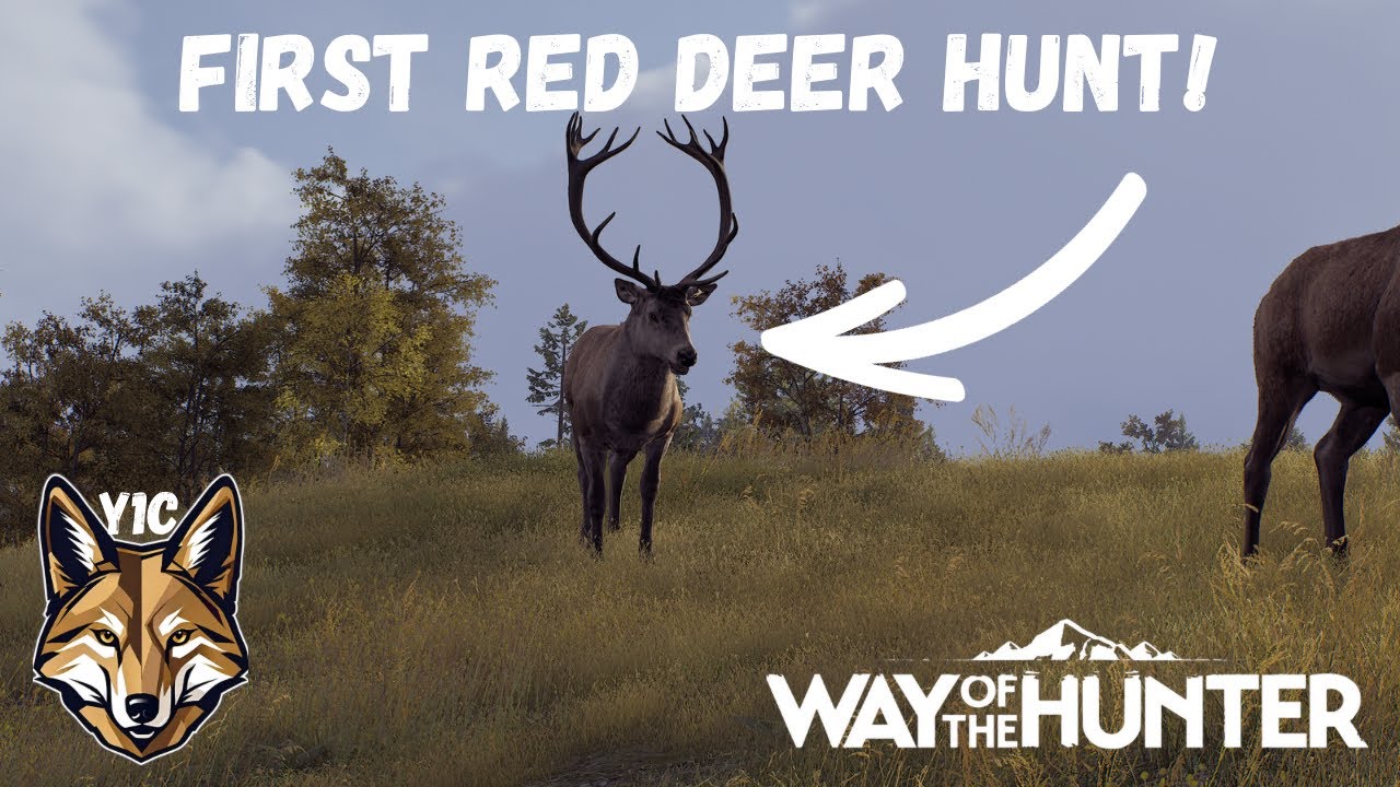 Hunting Red Deer For The FIRST TIME! | Way Of The Hunter - YouTube