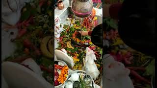 Shiv Pooja#shortsviral #ytshort #shortsyoutube #shortsvideo #mahakal #mahadev #mahashivratri