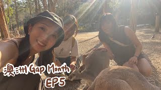 【澳洲Gap Month EP5】出發黃金海岸！庫倫賓野生動物保護區