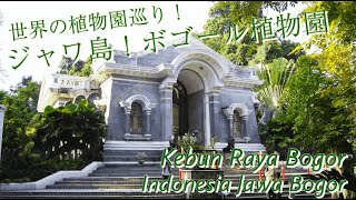 世界の植物園を巡る！[インドネシア]ボゴール植物園 Bogor Botanical Gardens (Indonesian: Kebun Raya Bogor) in Indonesia Bogor