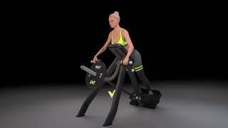 DHZ Fitness Plate Loaded Evost II - A3061 Incline Level Row