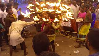 Sivakasi Panguni pongal