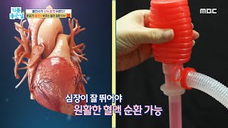 [기분 좋은 날] 심뇌혈관 질환, 일교차 클 때 발생한다?! MBC 210917 방송