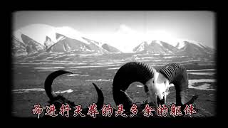 神秘的【天葬】仪式，你了解多少？ #民间诡闻 #奇闻奇事 #西藏