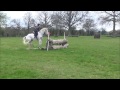 parwood xc schooling april 2015