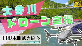 つり橋が沢山！静岡県の大井川をドローンで空撮！