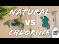 Natural Pools *BEFORE AND AFTER* Biological Filtration Swim Ponds VS Chlorine Pools