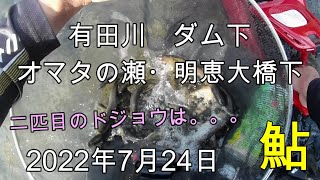 220724 【鮎釣り】有田川 ダム下 オマタの瀬　明恵大橋下