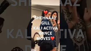 KALI ACTIVA | PIND DE GERHE | New Video | Rupinder Handa | Shehnaz Gill | Latest Punjabi Songs