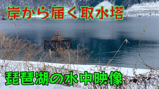 岸から届く取水塔には夢がある #琵琶湖 #水中映像 #奥出湾 #バス釣り