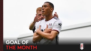 Fulham Goal Of The Month | April